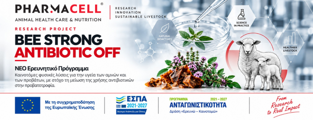 ΝΕΟ ΕΡΕΥΝΗΤΙΚΟ ΠΡΟΓΡΑΜΜΑ - BEE STRONG ANTIBIOTIC OFF.